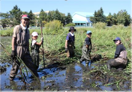 Photo of activities by the TOTO Water Environment Fund. Environmental activities being carried out at the waterfront.