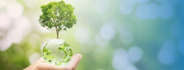 “Materiality”link banner