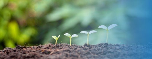 “Climate Change Strategies”link banner