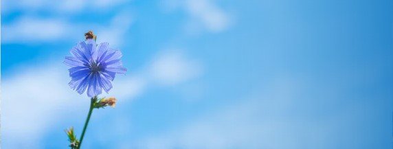 「社会貢献活動」のリンクバナー