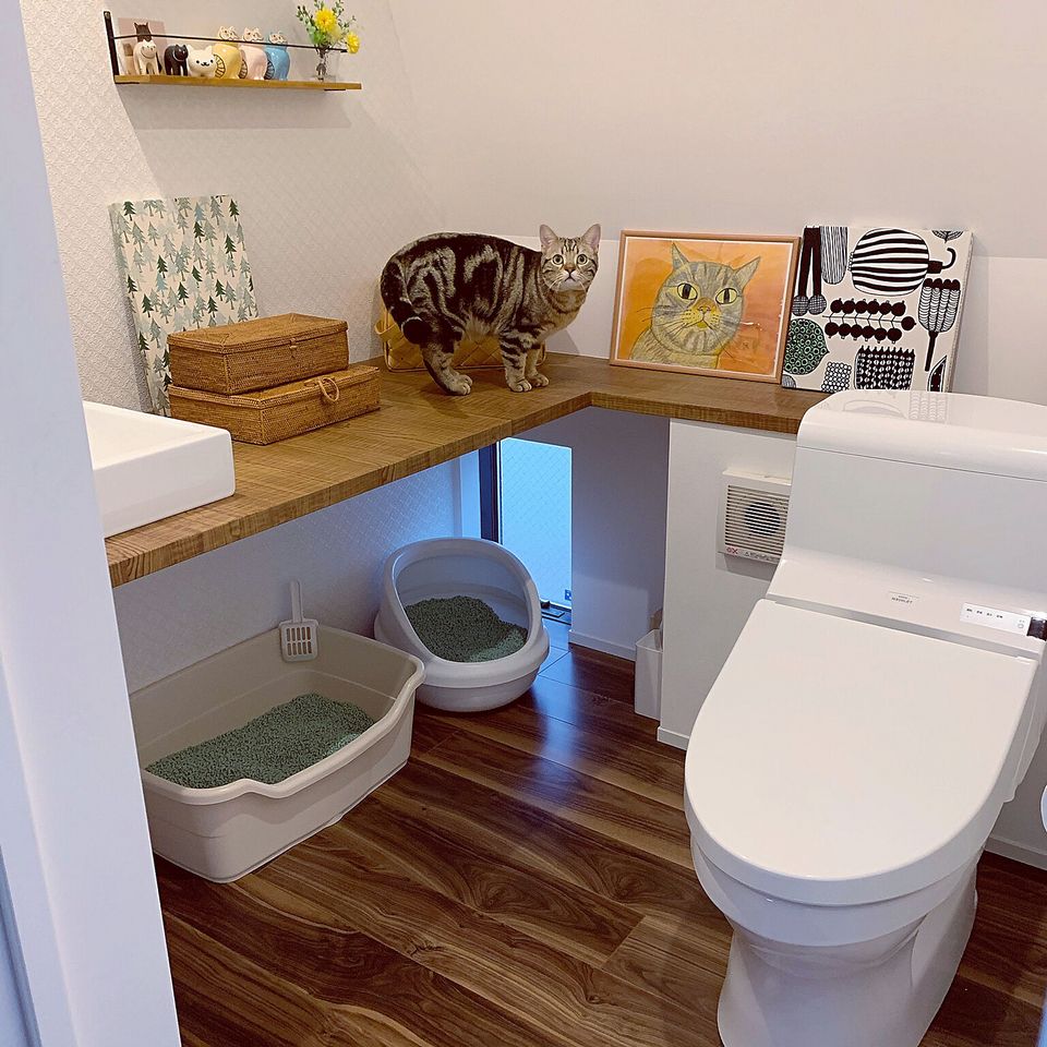 リフォームで叶えられる ペットと過ごす家での幸せに満ちた暮らし リモデルライブラリー リフォーム Toto株式会社