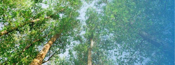 「価値創造モデル」バナー